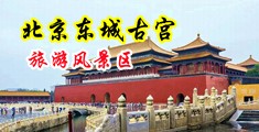 白虎-69xx中国北京-东城古宫旅游风景区